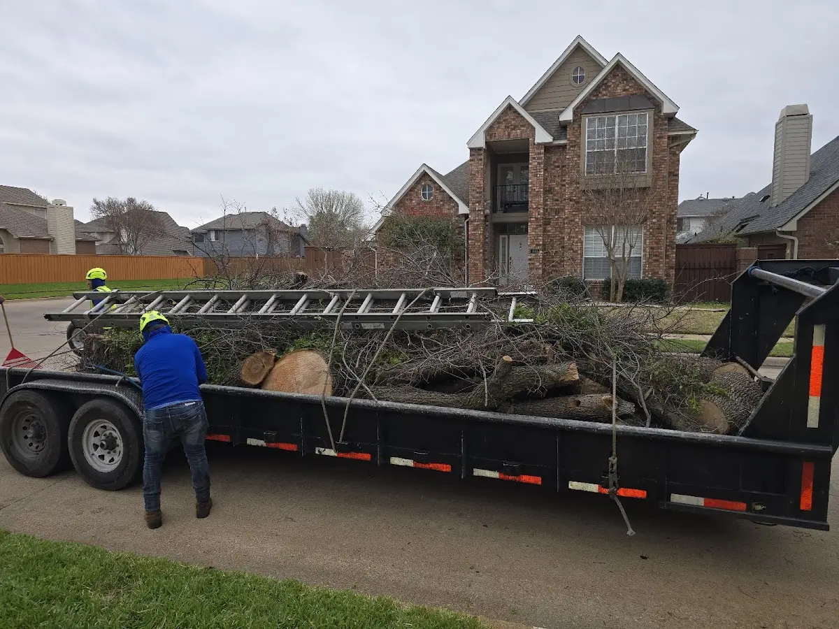 Expert Lot Clearing with proper safety equipment in Amagon